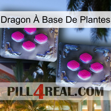 Dragon À Base De Plantes 01